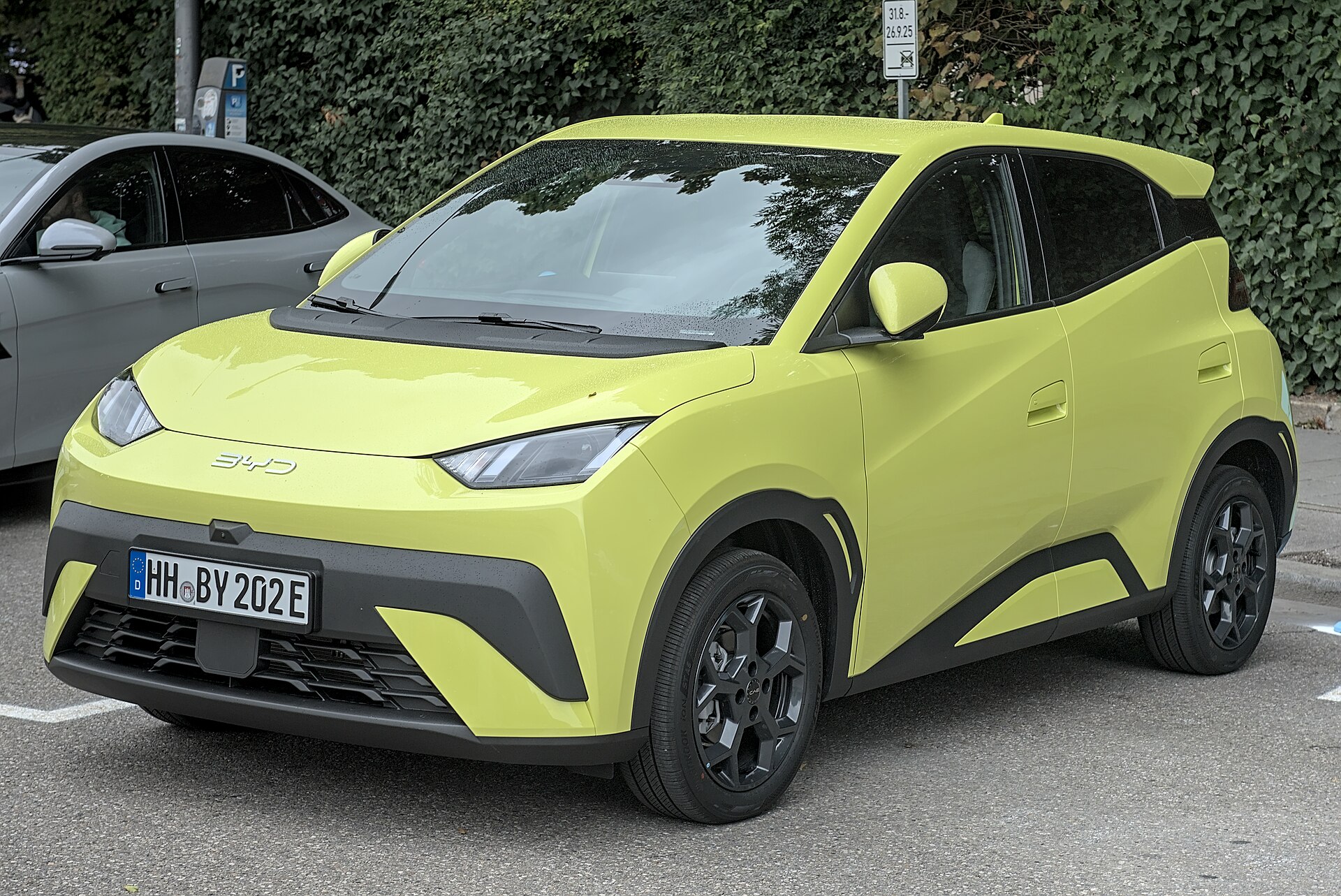 BYD Dolphin Surf Active